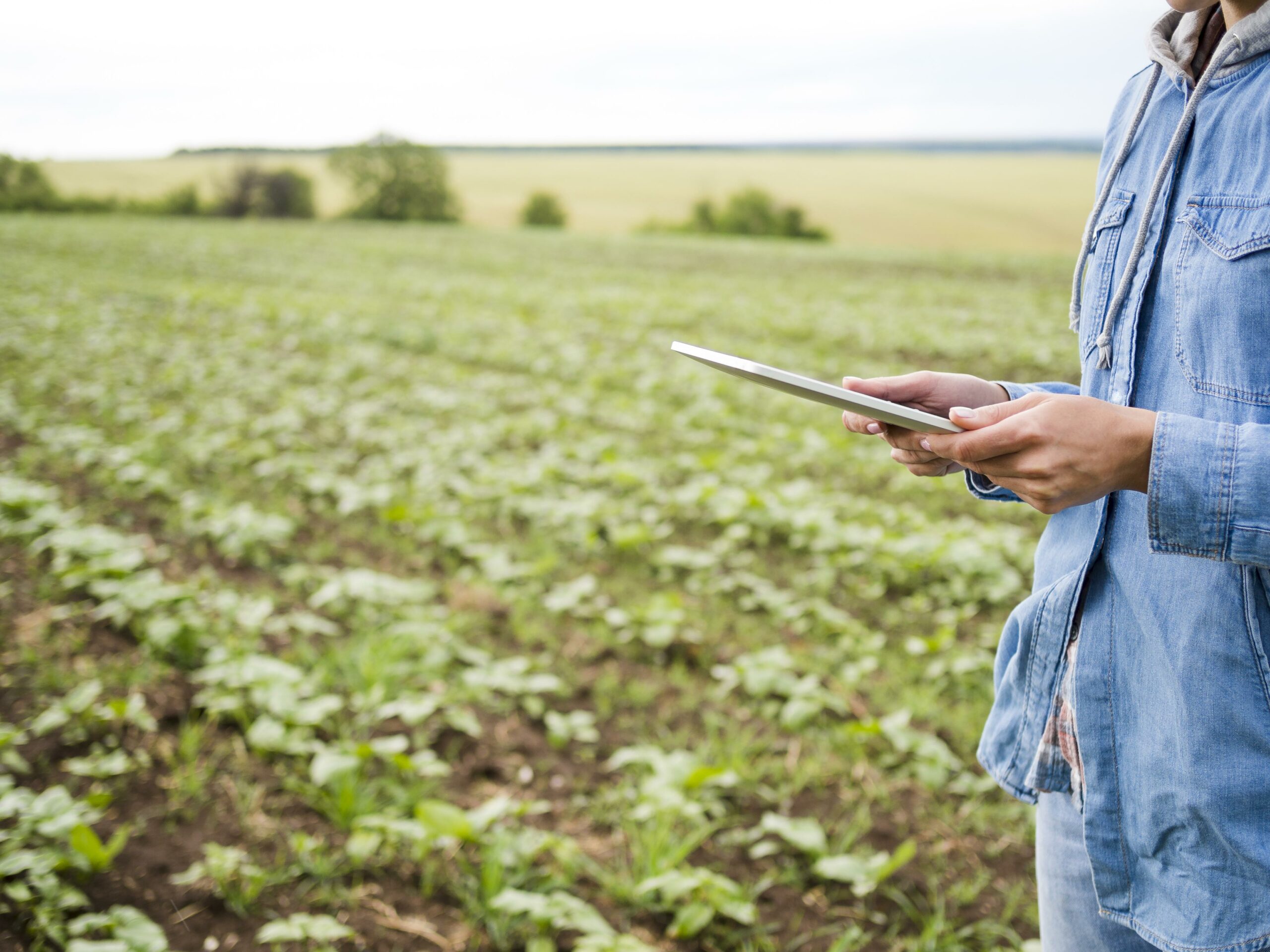 donna-che-tiene-una-compressa-accanto-ad-un-campo-dell-azienda-agricola-con-lo-spazio-della-copia
