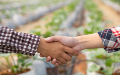 Accreditamento come Organismo di Consulenza aziendale in Agricoltura