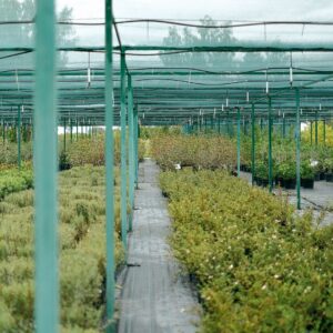 2A 03 strutture produttive 2 300x300