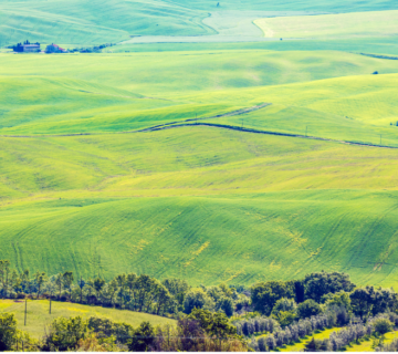 Immagine 1024x585 parte bassa 1 360x320