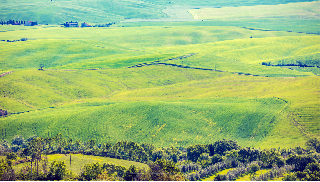 Immagine 1024x585 parte bassa 1